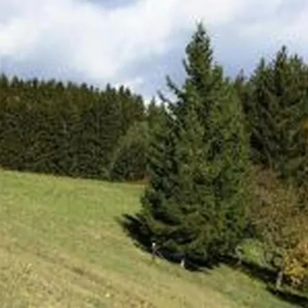Landgasthof Hauser Immendingen