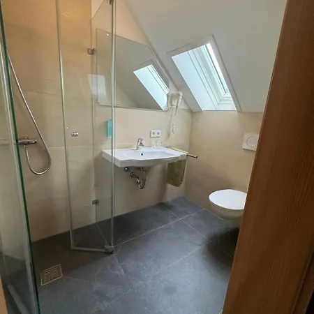 Landgasthof Hauser B&B Immendingen