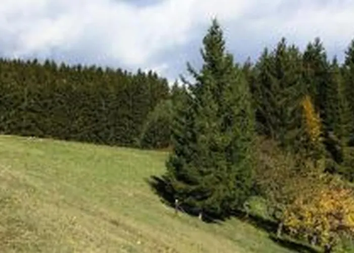 Landgasthof Hauser Immendingen